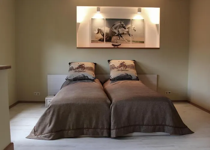 Vendégház Neonele Palanga